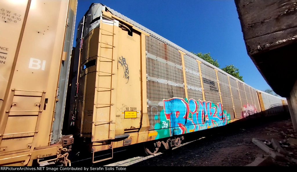 NS 22599 TTGX 160026 Con Grafiti 